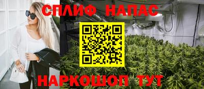 дживик Донской