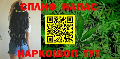 дживик Донской