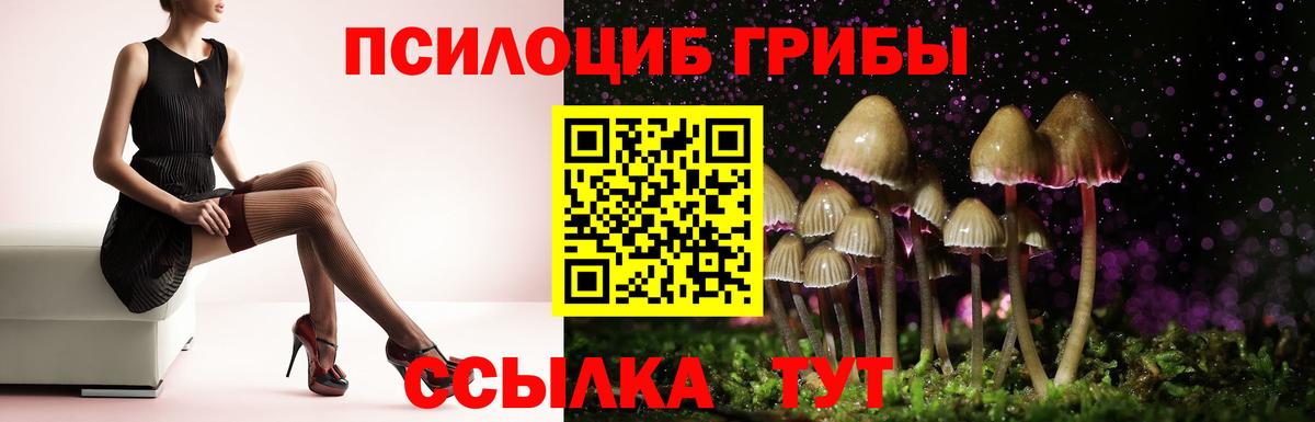 Псилоцибиновые грибы ЛСД  Вход с VPN  Псилоцибиновые грибы ЛСД  Гурьевск 